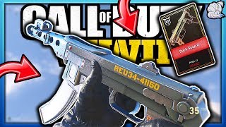 Is The Heroic PPSH-41 (Duck Soup 2) WORTH It? | COD: WW2 (Multiplayer & Zombies Review)