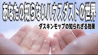 ダスキンモップ吸着剤の効果を実験で検証してみた！