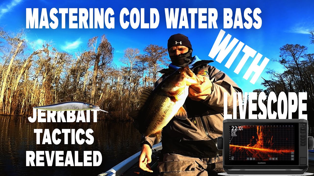 Mastering Cold Water Bass with LiveScope: Jerkbait Tactics Revealed! #fishing #bassfishing #tips