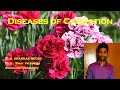 Diseases of Carnation | Flower Crops | Plant Pathology | Exam Oriented Discussions