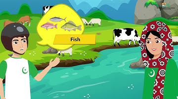 Land Resources (Sindhi Version) I Science I Grade 2 Unit 6 Lesson 1