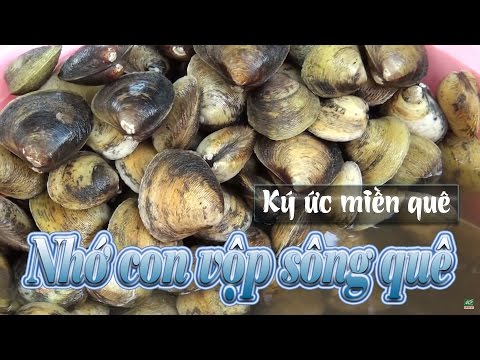 Video Ký ức miền quê | Nhớ con vộp sông quê | THKG - youtube