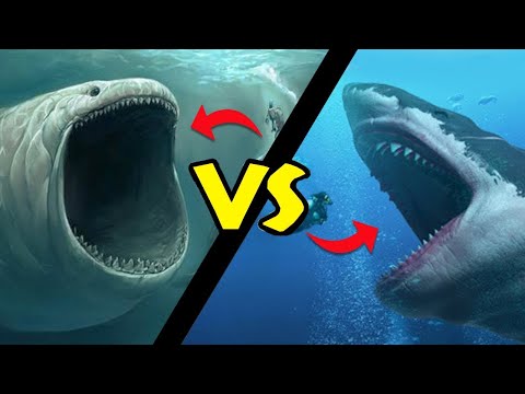 Megalodon VS Bloop. Bu Savaşı Kim Kazanır?