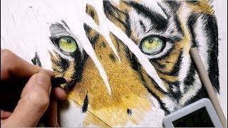 色鉛筆でトラを描いてみた Drawing Tigers Realistically With Colored Pencils Youtube