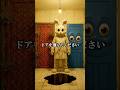 テンションが上がるドアを選んでください Pick a door!