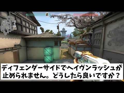 VALORANT法律部門　弁護士ヘイヴンディフェンダー
