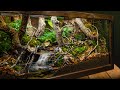 Realistic indoor meandering creek forest biome vivarium