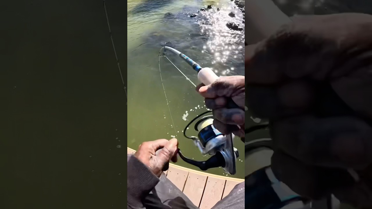 РЫБАЛКА НА КАПОТАХ 🔥🎥🎣