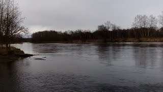 Ловля гольца на Камчатских реках  Голец на поплавок. Разведка мест