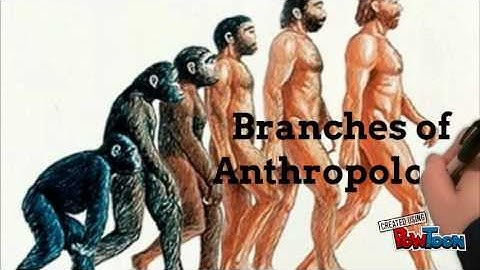 Anthropology and Economics