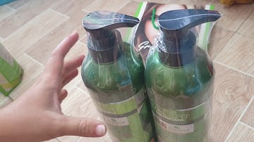 Bộ Dầu Gội - Dầu Xả Bưởi Giúp giảm Rụng Tóc Phục Hồi tóc hư tổn | Grapefruit Plus 850ml