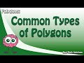 Understanding Polygons