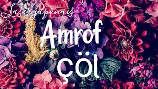 Amorf _ col