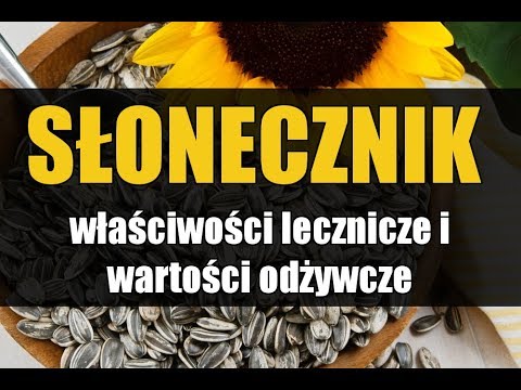 Wideo: Lecznicze Właściwości Słonecznika