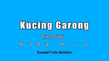 Kucing Garong - Erna Sari (Karaoke Nada Pria) Remix Terbaru