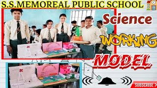 Science experiments for students|Different science experiment|Science experiments new video#science