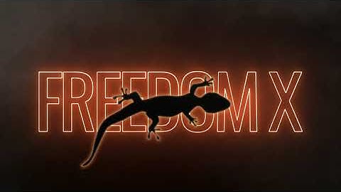 FreedomX - Launch