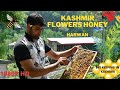 Beekeeping in kashmir  kashmir flowers honey  harwan