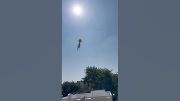 We made unique kite 🪁 #2026 #comingsoon #sankrathi #kite