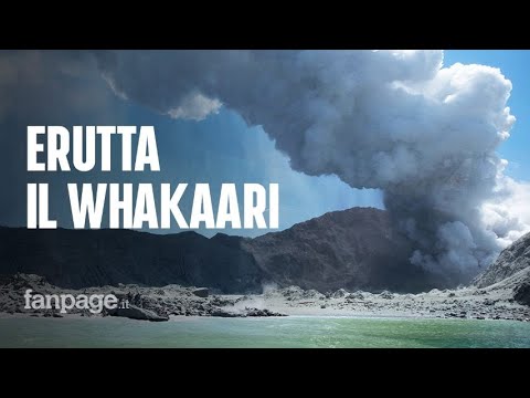 Video: Come Visitare L'isola Vulcanica Di Whakaari, Nuova Zelanda E 039; S