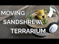 How to Make an Automated Sandshrew Terrarium