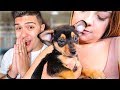 Rescuing An Abandoned Baby Puppy!
