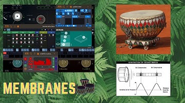 Membranes (sonicLAB Fundamental + Drambo)