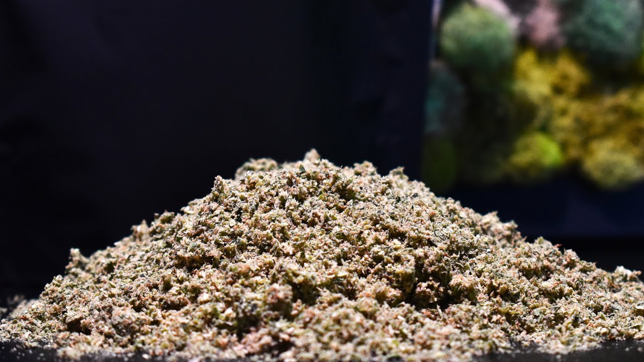 Shake Review Sesh!! || Talking About Vibe's Mississippi Nights #72 Shake Trim Pack!!