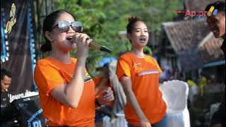 IKAN DALAM KOLAM - SINKA XUN BL MUSIK