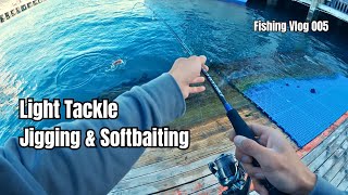 Light Tackle Fishing Land Based | How To Use Soft Baits and Jigs screenshot 2