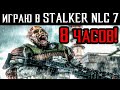 🔥8 ЧАСОВ в S.T.A.L.K.E.R. NLC 7 build 3.0🔥stream