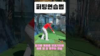 가장 쉬운 퍼팅 연습법! ! #파크골프 #파크골프치는법 #퍼팅