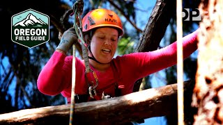 Boot camp for tree climbing | Oregon’s aspiring tree climbers reach new heights | Oregon Field Guide