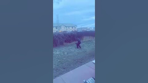 Cookies Call for Quaranteam-work || ViralHog