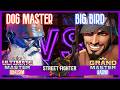 SF6 Match ♦ DOG MASTER (Dhalsim) 🆚 BIG BIRD (Rashid) ♦ High level matches