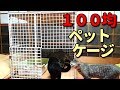 100均の網で即席のペットゲージを作って見ました！