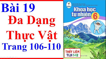 Khoa Học Tự Nhiên Lớp 6 Bài 19 | Đa Dạng Thực vật | Trang 106 - 110 | Cánh Diều