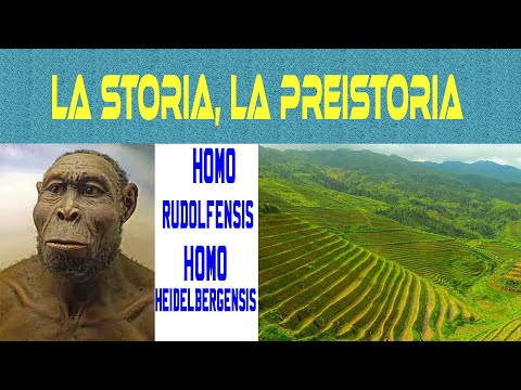 6 HOMO RUDOLFENSIS, HOMO HEIDELBERGENSIS. ALLE ORIGINI DEL CIBO