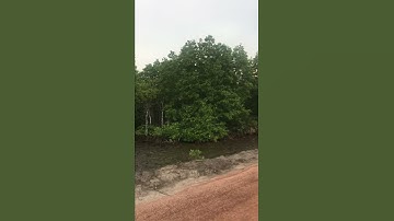 Đất Nhơn Trạch Đồng Nai đất đầu tư  400 ngàn 1 m2 - 4,5 ha mặt tiền đường lớn Hùng Vương