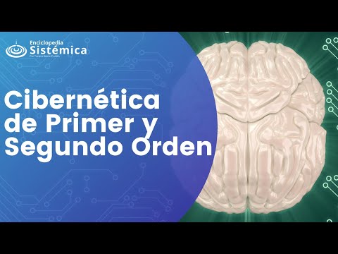 Video: ¿Son las cuestiones de la ciberética únicas?