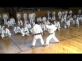 Kihon applications by Sadashige Kato, 9th dan shotokan