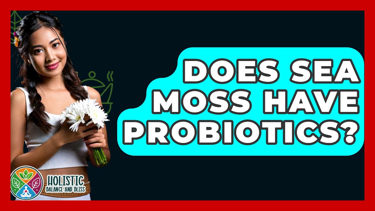 Does Sea Moss Have Probiotics? - Holistic Balance And Bliss