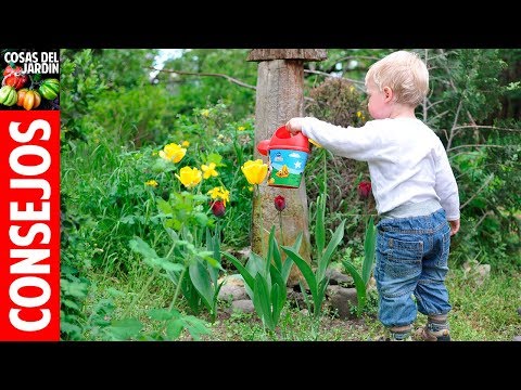 Video: ¿Cómo Introducir Al Niño A La Jardinería Y Por Qué Es Necesaria?