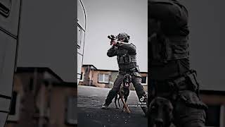 Military dog edit