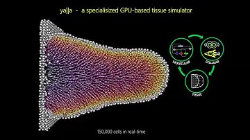 EuroBioC 2025 Keynote - C3PO: Cell 3D Positioning by Optical encoding to spatial transcriptomics