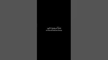 تراكب مجاني سورة نوح قارئ ماهر المقيليFollow for daily Qur'an🎧🫀 @QuranCadence  #qurancadence