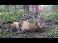 2019 Archery Elk - The Freak