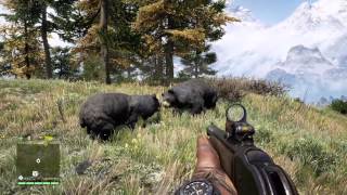 Far Cry 4: Bears fighting