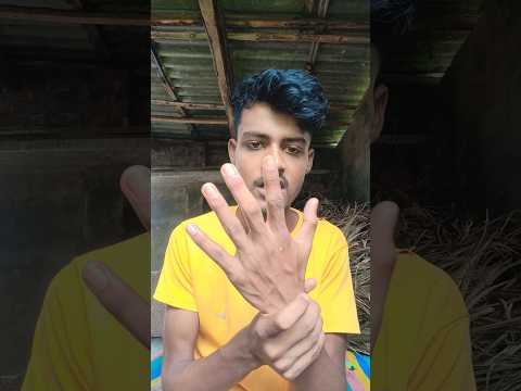 Food ASMR Eating