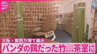 【大阪・関西万博で展示】パンダの餌だった竹…「茶室」に